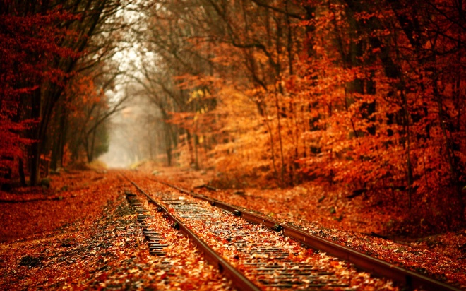 railway-autumn
